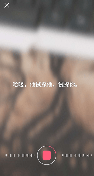 她拍软件玩法介绍 她拍软件如何玩