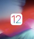 iOS12中将手机桌面图标隐藏具体操作方法