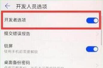 荣耀v20手机将开发者选项打开具体操作步骤