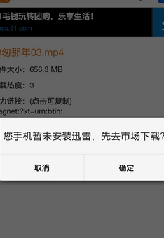 手机种子搜索神器的具体使用流程