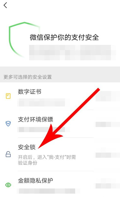 微信支付如何设置安全锁？ 微信支付安全锁设置方法教程解答！