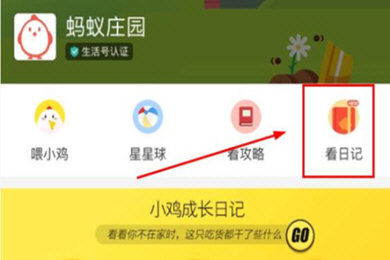 支付宝蚂蚁庄园小鸡信息如何修改?支付宝蚂蚁庄园小鸡信息修改攻略介绍!