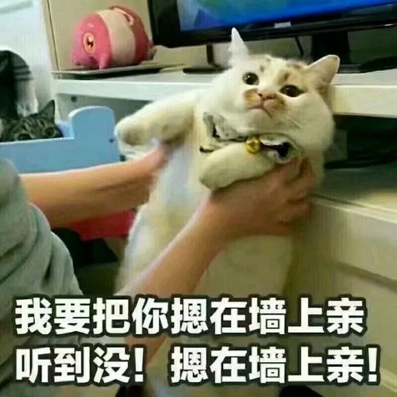 抖音我要把你摁在墙上亲表情包是什么?抖音我要把你摁在墙上亲表情包介绍!