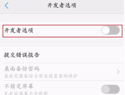 vivonex双屏版中打开开发者选项具体操作步骤