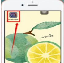 陌陌APP如何退群 陌陌AP退群方法