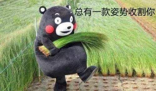 小程序最便宜多少钱？小程序最便宜的价格是多少？