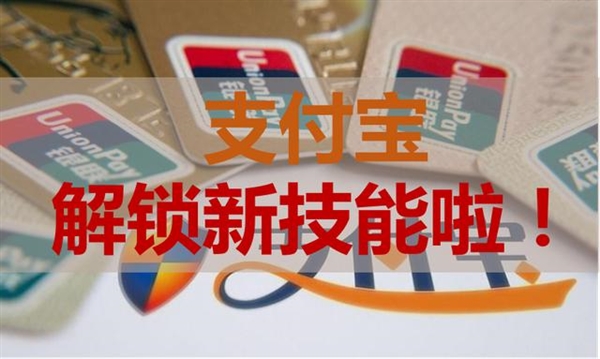 支付宝证件夹在哪里? 支付宝证件夹驾驶证功能介绍