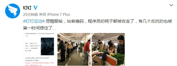 钉钉运动怎样计步? 钉钉运动怎么打开