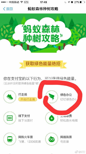 蚂蚁森林钉钉是什么 蚂蚁森林钉钉能量如何收集
