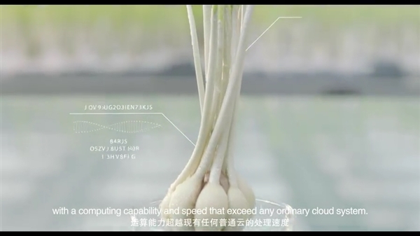 阿里云计蒜介绍 阿里云计蒜功能使用方法