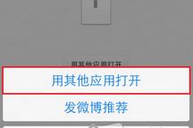 新浪微盘APP查看文件的简单操作流程