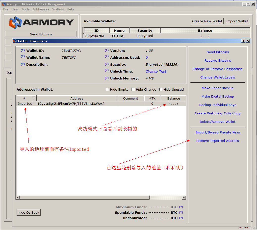 如何在Armory客户端上导入脑钱包私钥？在Armory客户端上导入脑钱包私钥方法是什么？