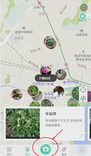 形色APP识别花名详细操作流程