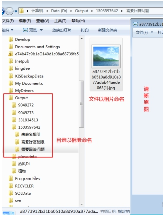 啄木鸟图片下载器详细使用流程介绍