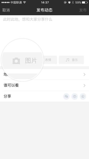 苹果手机中陌陌如何发布动态 具体流程介绍