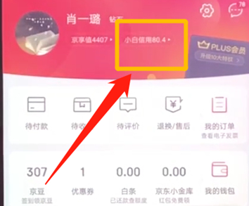 京东中如何提升小白信用 京东中提升小白信用方法