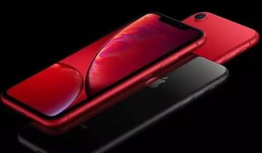 iPhone XR拍摄出动态照片具体步骤介绍