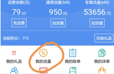掌上营业厅查询流量明细方法介绍 掌上营业厅中怎么查看话费