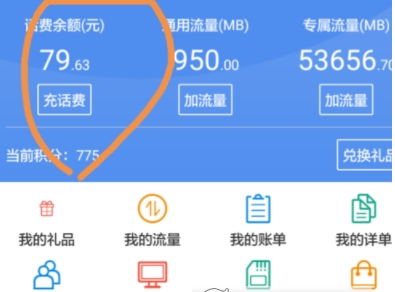 掌上营业厅查询流量明细方法介绍 掌上营业厅中怎么查看话费