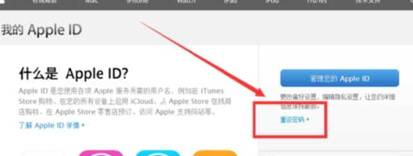 苹果手机Apple ID帐号密码忘记如何解决? 苹果Apple ID帐号密码如何找回?