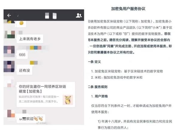 小米加密兔是真的吗? 小米加密兔上线什么时候?