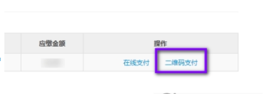 新版电子税务局上如何缴纳税款? 电子税务局缴纳税款教程解答!
