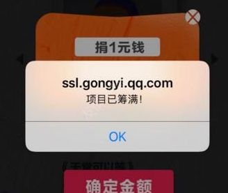 小朋友画廊买不了怎么回事 小朋友画廊项目已筹满怎么办