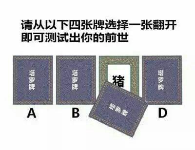 从4张牌翻开一张测试出你的前世 四张牌选择一张翻开前世猪套路玩法