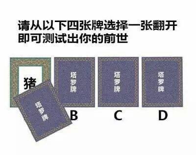 从4张牌翻开一张测试出你的前世 四张牌选择一张翻开前世猪套路玩法