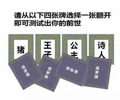 从4张牌翻开一张测试出你的前世 四张牌选择一张翻开前世猪套路玩法