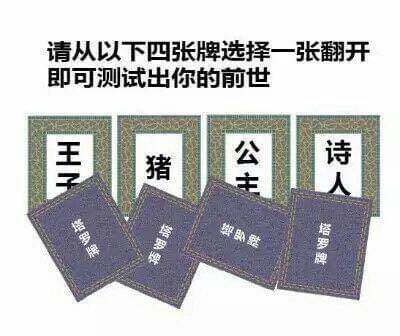 从4张牌翻开一张测试出你的前世 四张牌选择一张翻开前世猪套路玩法