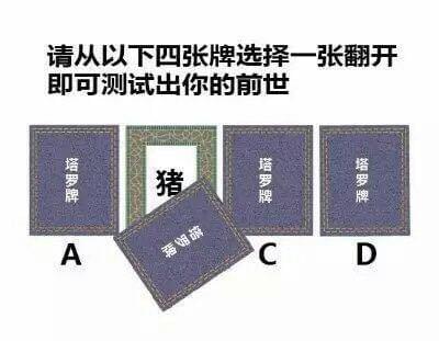 从4张牌翻开一张测试出你的前世 四张牌选择一张翻开前世猪套路玩法