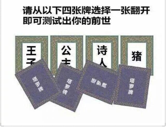 从4张牌翻开一张测试出你的前世 四张牌选择一张翻开前世猪套路玩法