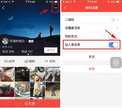 有宠app将黑名单移除详细操作步骤
