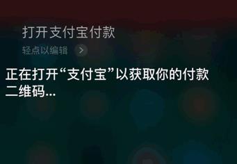 iphone如何使用语音支付 详细操作流程