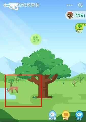 支付宝App蚂蚁森林领取小鹿的详细操作步骤