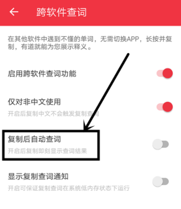 网易有道词典怎么设置复制自动查词_具体操作步骤