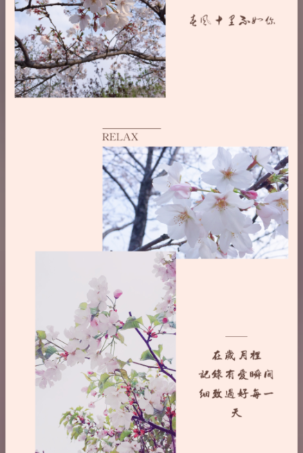 简拼App添加文字详细操作讲解