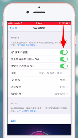 苹果手机如何将siri功能开启_具体操作步骤