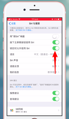 苹果手机如何将siri功能开启_具体操作步骤