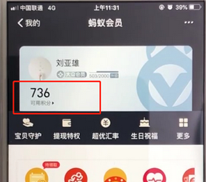 支付宝APP查询蚂蚁会员积分的具体操作步骤