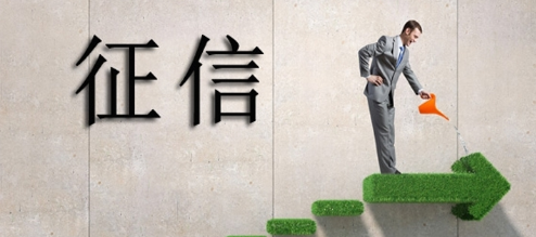 征信行业黑市数据泛滥是解不了的死结吗？征信行业黑市数据介绍！