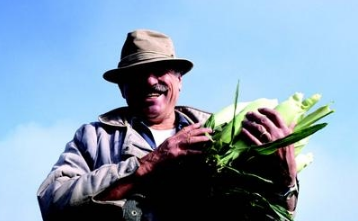 信用社小额贷款逾期有哪些后果？信用社小额贷款逾期影响！
