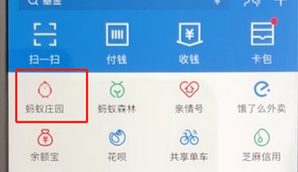 手机支付宝APP饲养宠物的具体操作流程