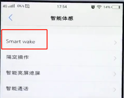 vivo手机中设置黑屏手势具体操作流程