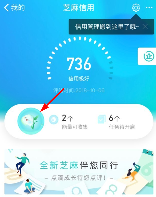 支付宝APP中查看信用能量的操作步骤