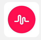 museAPP中使用倒拍功能的操作流程