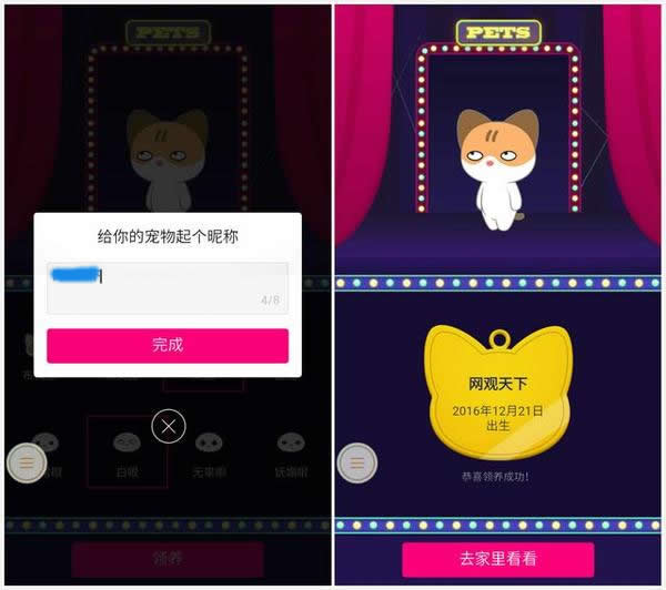 手机QQ空间看宠物的详细操作步骤