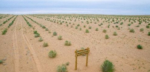 蚂蚁森林全民义务植树尽责证书获得方法分享