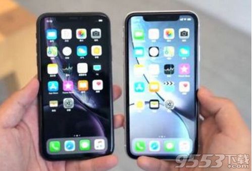 iPhoneXR什么时候能买 iPhoneXR购买时间价格介绍